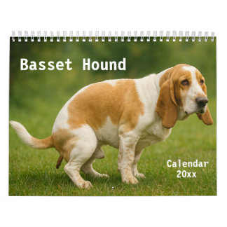 Basset Hound Kalender 2026
