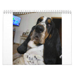 Basset Hound-kalender Kalender