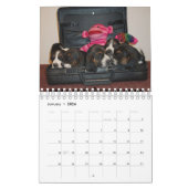 Basset hound-kalender kalender (Jan 2026)