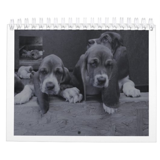 Basset hound-kalender kalender (Achterkant)