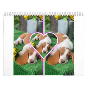 Basset hound-kalender kalender