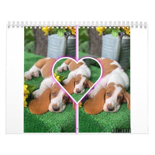 Basset hound-kalender kalender (Hoes)