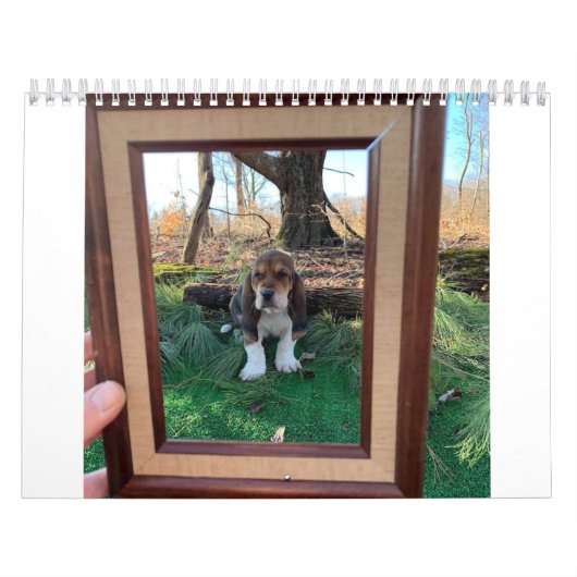 Basset hound-kalender kalender (Hoes)