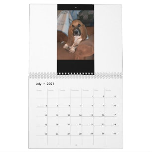Basset Hound-kalender Kalender