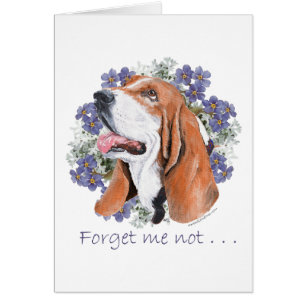 Basset Hound Keepomwille