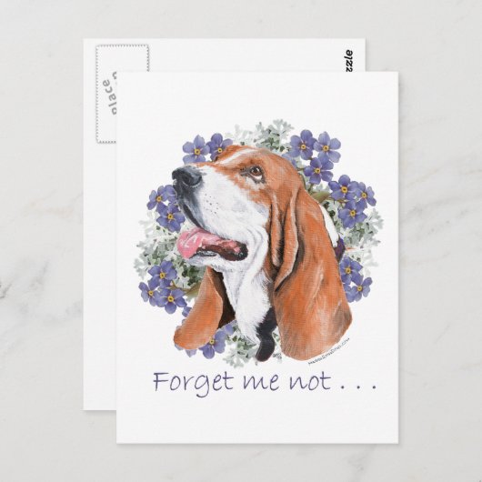 Basset Hound Keepomwille Briefkaart (Voorkant / Achterkant)