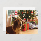 Basset hound Kerstmis Briefkaart (Voorkant / Achterkant)
