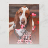 Basset Hound, Kerstmis, kerstverlichting Feestdagenkaart (Voorkant)