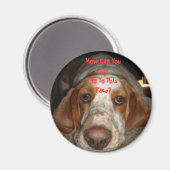 Basset Hound Magnet Magneet (Voorkant / Achterkant)