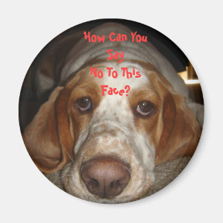 Basset Hound Magnet Magneet