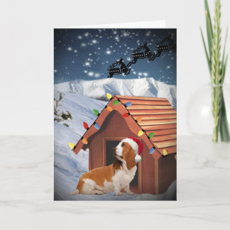 Basset Hound Merry Christmas Kaarten