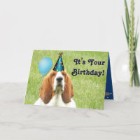 Basset Hound met party pet Verjaardagskaart