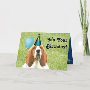 Basset Hound met party pet Verjaardagskaart Kaart