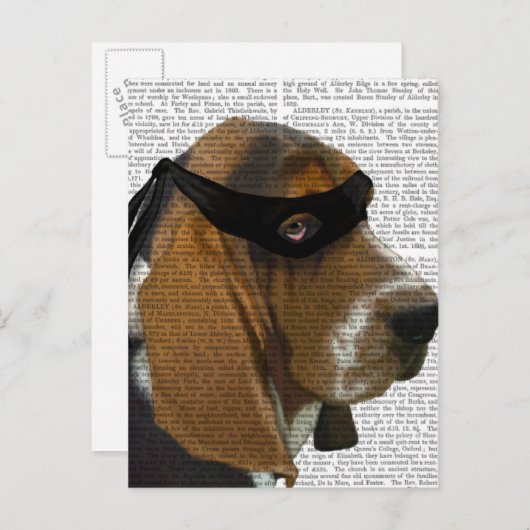 Basset Hound Ninja Briefkaart (Voorkant / Achterkant)