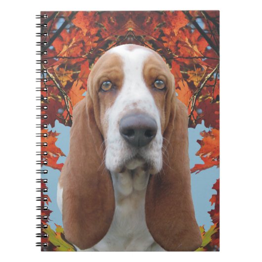Basset Hound Notitieboek (Voorkant)