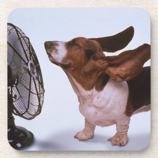 Basset Hound onderzetter (Voorkant)