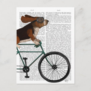Basset Hound op fiets Briefkaart