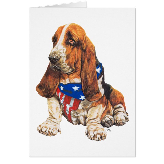 Basset Hound Patriotique américain (Devant)