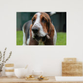 Basset Hound Poster (Keuken)