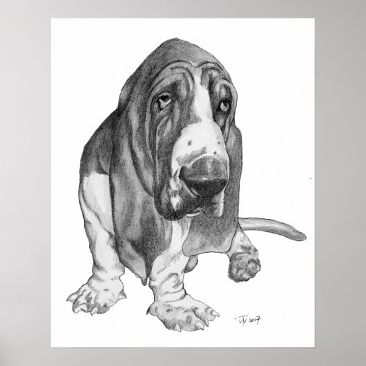 Basset Hound Poster (Voorkant)