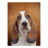 Basset Hound Poster Perfect Poster (Voorkant)