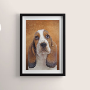 Basset Hound Poster Perfect Poster