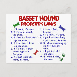 BASSET HOUND Property Wetten 2 Briefkaart