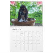 Basset hound puppy agenda kalender (Feb 2027)