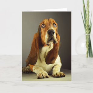 Basset Hound Puppy Dog Blank Note Card Kaart