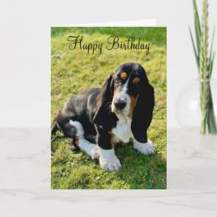 Basset Hound Puppy Hond Gelukkige Verjaardag Kaart