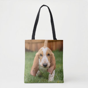 Basset Hound Puppy Loopt Draagtas