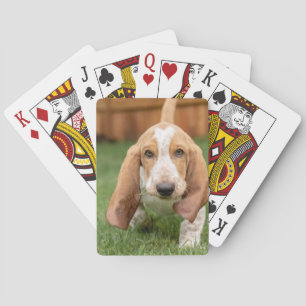 Basset Hound Puppy Loopt Pokerkaarten