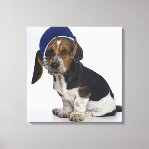 Basset Hound Puppy met bezoeker Canvas Afdruk