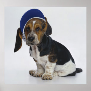 Basset Hound Puppy met bezoeker Poster