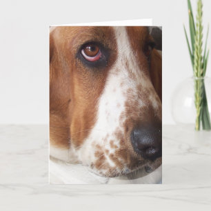 Basset Hound Puppy Wenskaart Kaart