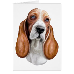 Basset Hound Red en White