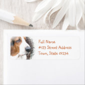 Basset Hound Return Address Label (Insitu)