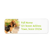 Basset Hound Sitting Mailing Labels (Voorkant)