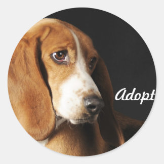 Basset hound sticker