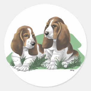 Basset Hound Stickers Chiot