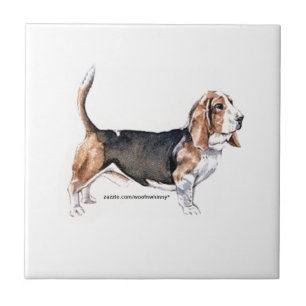 Basset Hound Tegeltje