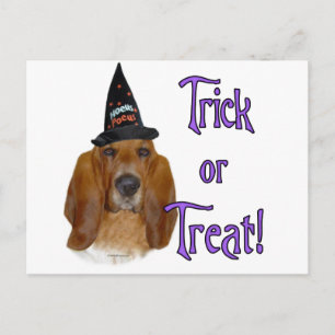 Basset Hound Trick Briefkaart