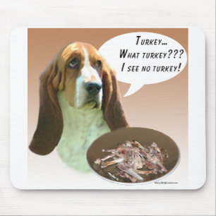 Basset Hound Turkije Muismat