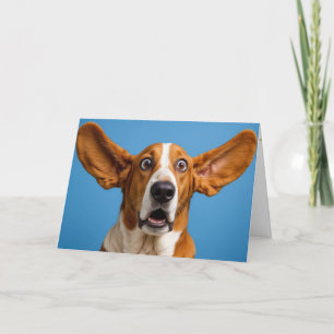 Basset Hound verraste verjaardag Kaart