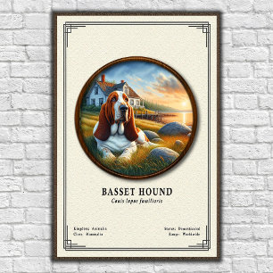 Basset Hound Zoölogie Serie Poster