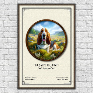 Basset Hound Zoölogie Serie Poster