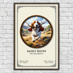 Basset Hound Zoölogie Serie Poster