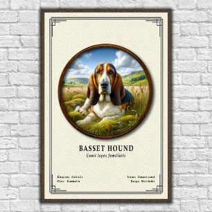 Basset Hound Zoölogie Serie Poster