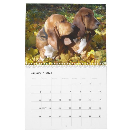 Basset Hounds 2012 Agenda Kalender (Jan 2026)