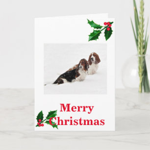 Basset Hounds dans la neige sur la carte de Noël.